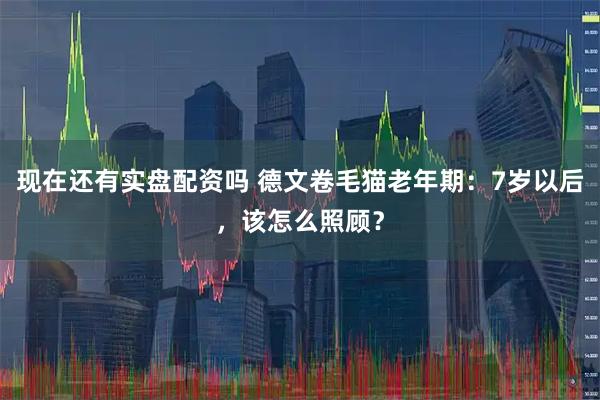 现在还有实盘配资吗 德文卷毛猫老年期：7岁以后，该怎么照顾？